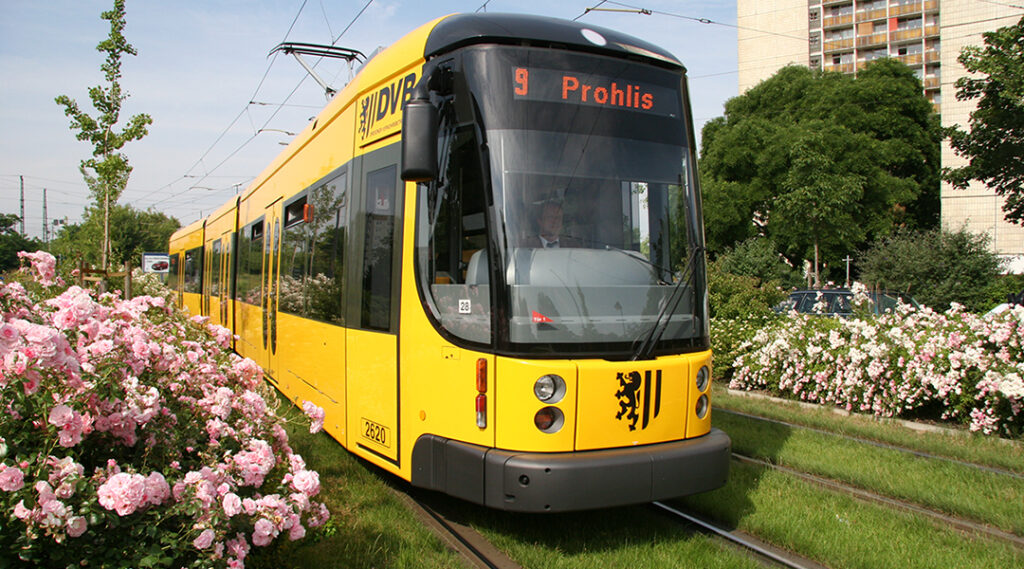 Dresden: Grüne Straßenbahn-Gleise