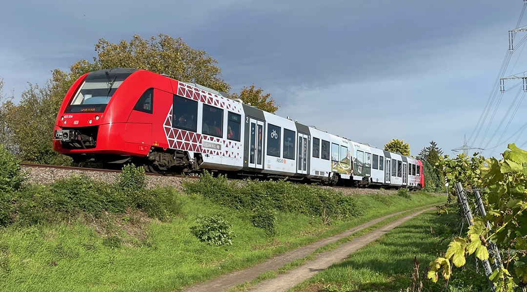 Ein Zug fährt an Weinreben entlang.