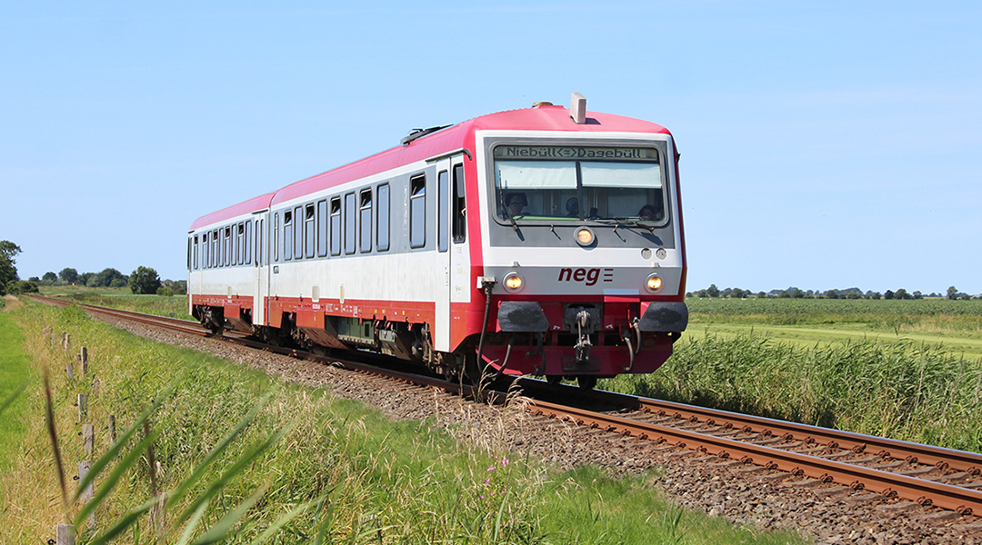 Ein Zug der neg fährt durch Wiesen.