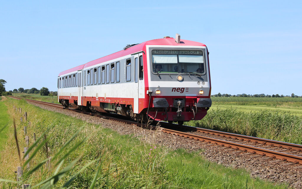 Ein Zug der neg fährt durch Wiesen.