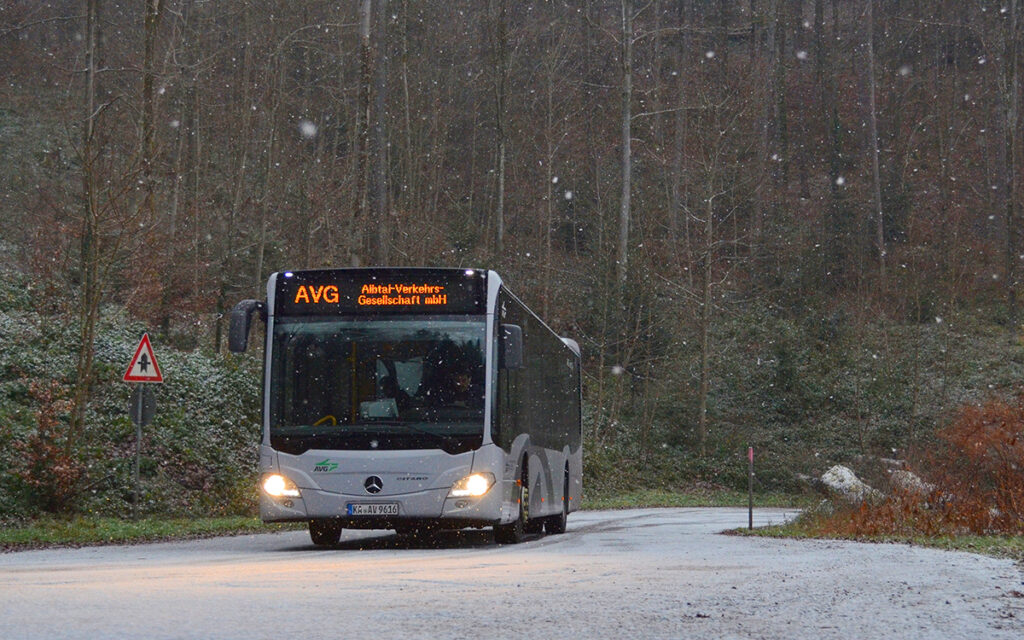 Ein Bus fährt durch einen Wald.