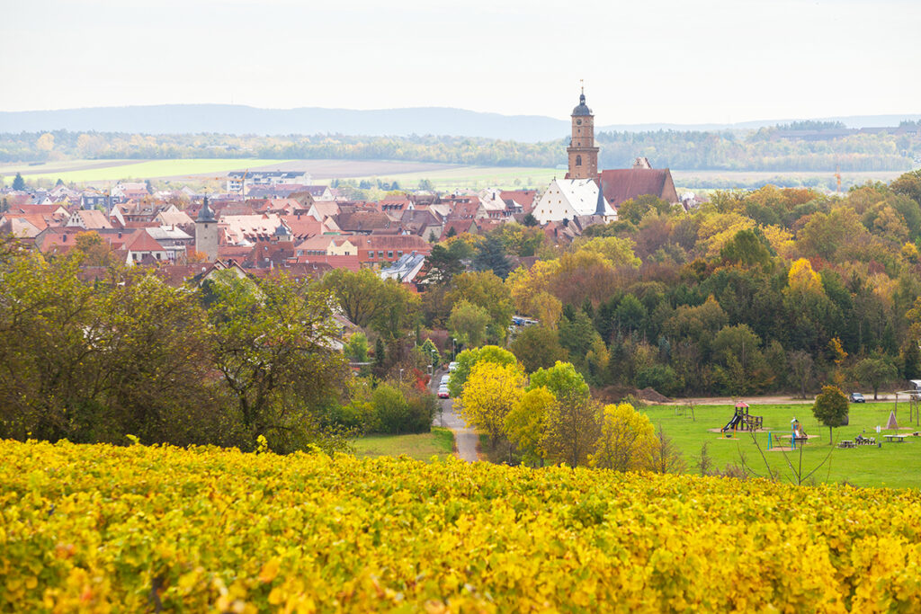 Blick auf eine Kleinstadt zwischen Weinbergen und Bäumen.