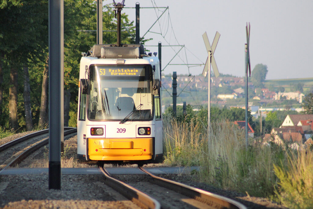 Ein Straßenbahn fährt an Bäumen vorbei.