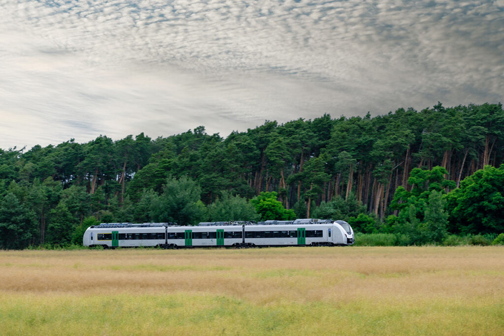 Ein Zug fährt durch Wiesen und Wälder.