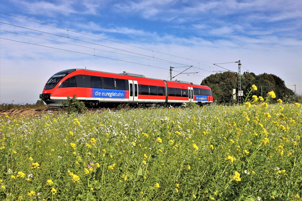 Ein Zug fährt an einem Rapsfeld vorbei.