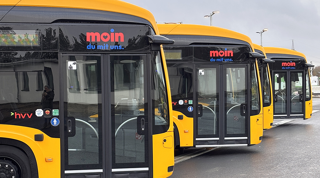 Mehrere Elektrobusse stehen nebeneinander.