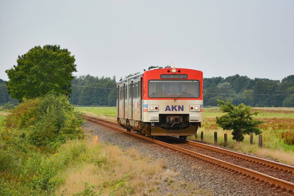 Ein Triebzug fährt durch Wiesen und vor Bäumen entlang.
