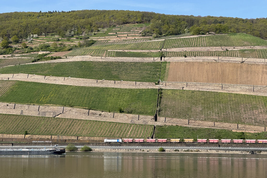 Ein Zug fährt vor Bergen an einem Fluss entlang.