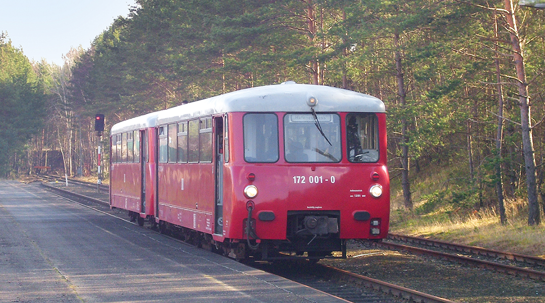 Ein Triebzug steht an einem Bahnsteig neben einem Waldgebiet.