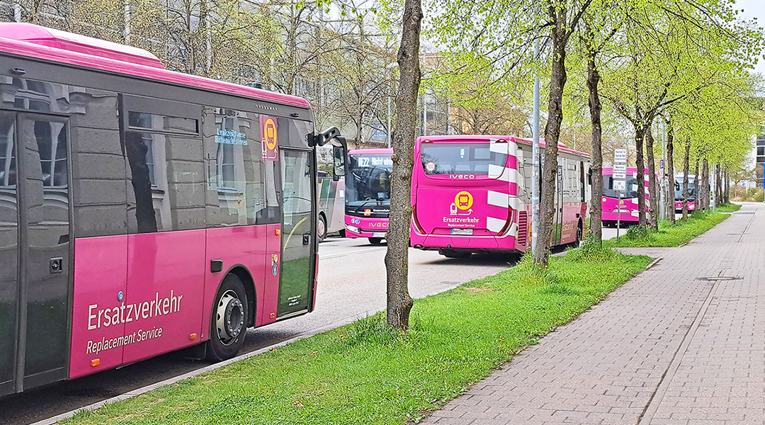 SEV-Busse stehen unter Bäumen auf einer Straße.
