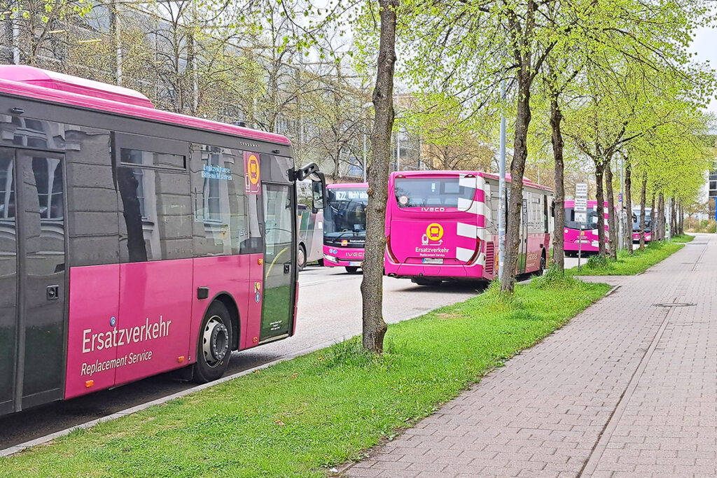 SEV-Busse stehen unter Bäumen auf einer Straße.