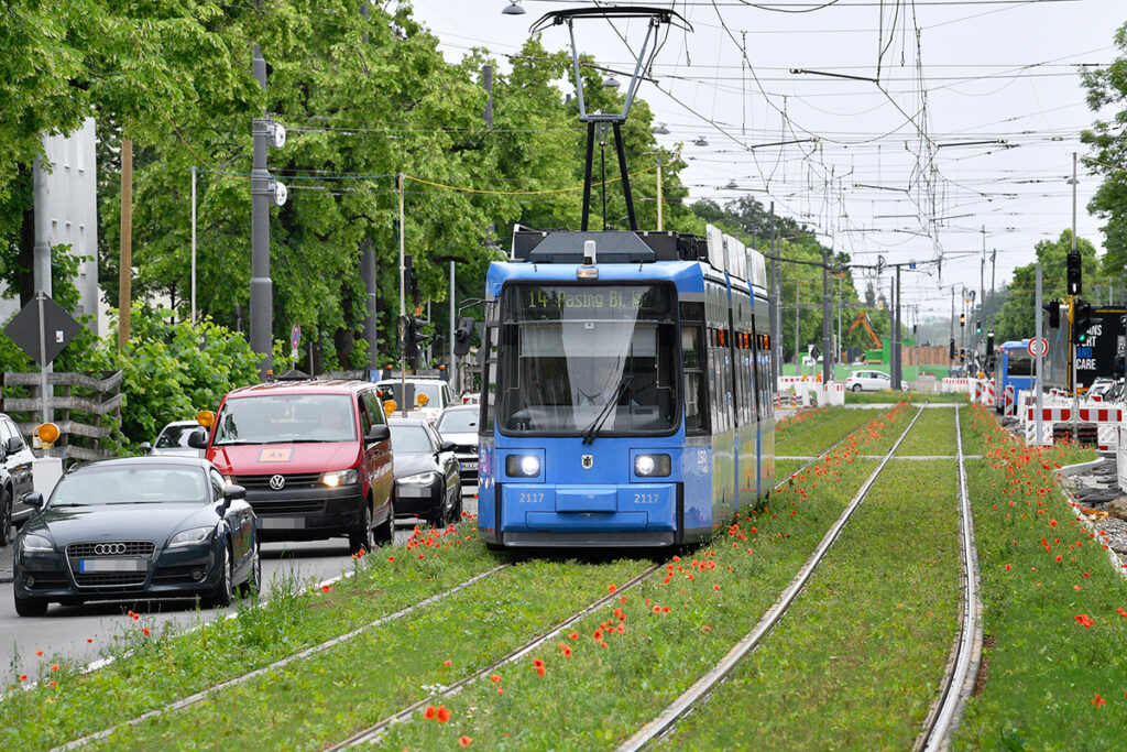 Eine Straßenbahn fährt auf Rasengleisen in der Mitte einer Straße.