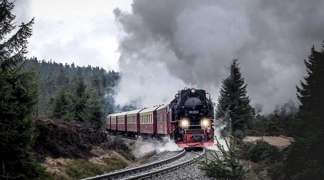 Ein Dampfzug fährt an Bäumen entlang und hat eine Rauchwolke über sich.