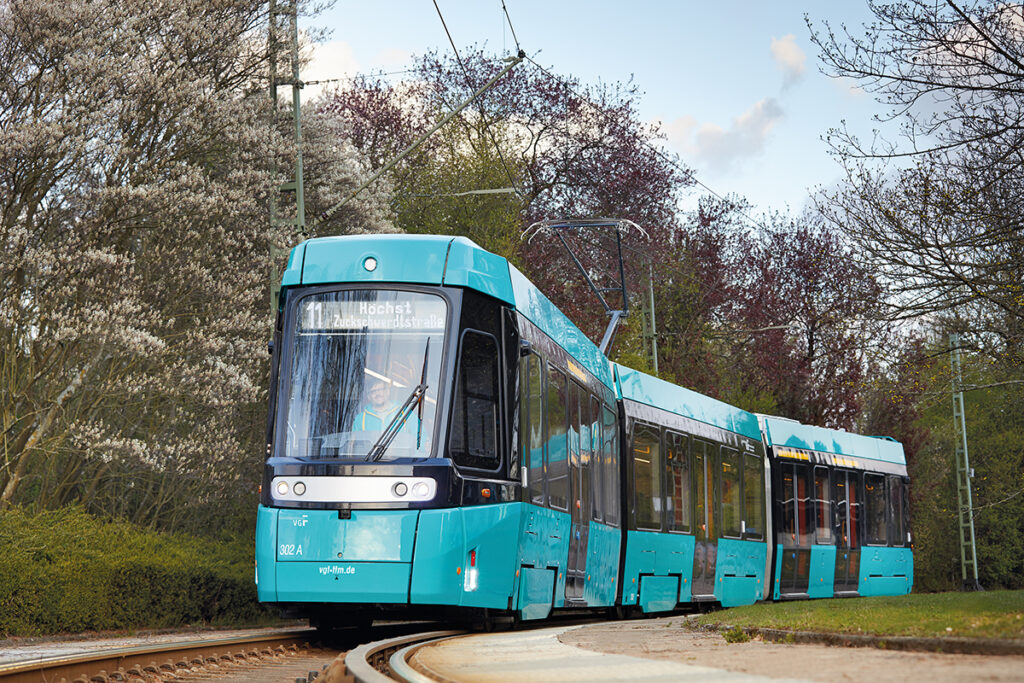 Eine Straßenbahn steht unter Bäumen auf einem Gleis.